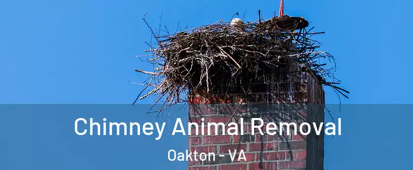  Chimney Animal Removal Oakton - VA