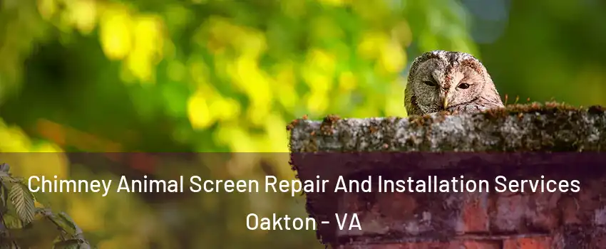  Chimney Animal Screen Repair And Installation Services Oakton - VA