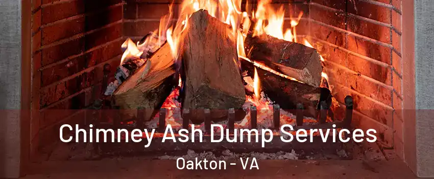  Chimney Ash Dump Services Oakton - VA