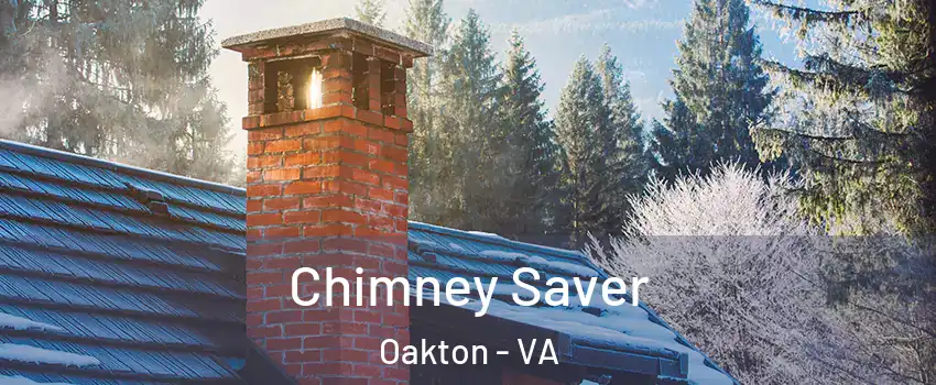  Chimney Saver Oakton - VA