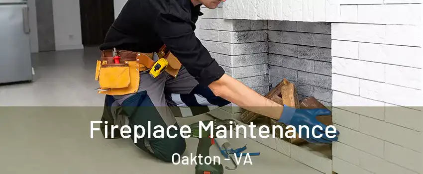  Fireplace Maintenance Oakton - VA