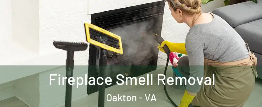  Fireplace Smell Removal Oakton - VA