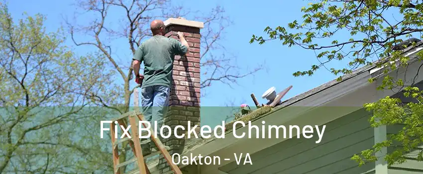  Fix Blocked Chimney Oakton - VA