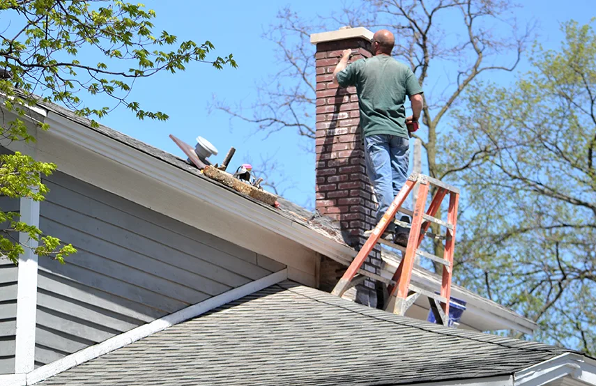 Chimney & Fireplace Inspections Services in Oakton, VA