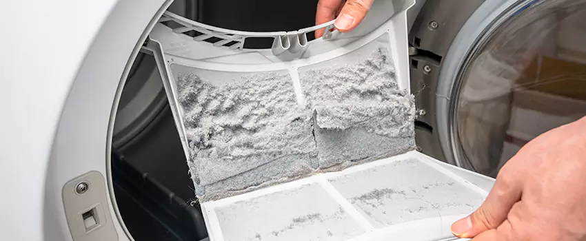 Best Dryer Lint Removal Company in Oakton, Virginia