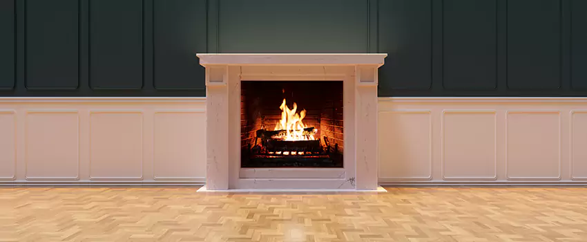 Napoleon Electric Fireplaces Inspection Service in Oakton, Virginia