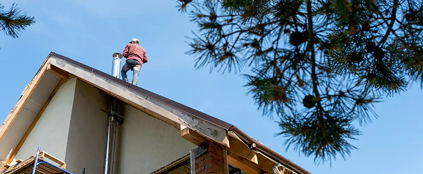 Birds Removal Contractors from Chimney in Oakton, VA