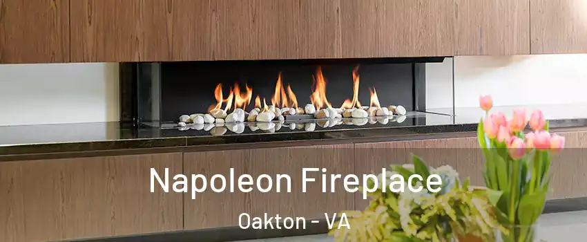  Napoleon Fireplace Oakton - VA